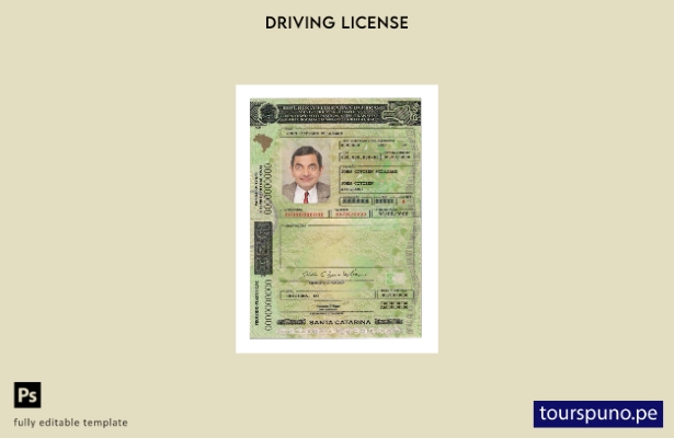 Plantilla de licencia de conducir de Brasil (SantaCatarina) lista para imprimir
